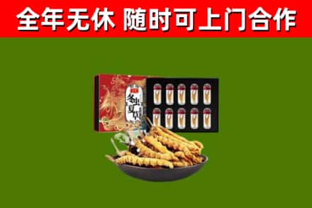 城北区烟酒回收冬虫夏草礼盒.jpg